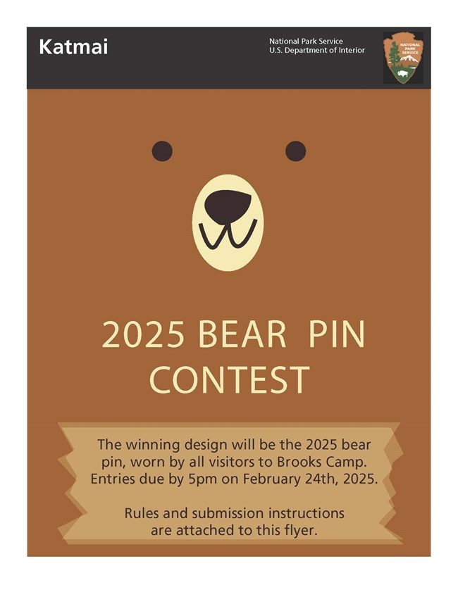 a brown rectangle flyer with a cartoon bear face and text that reads 2025 bear pin contest. the winning design will be the 2025 bear pin worn by all visitors to Brooks Camp. Entires due by 5pm on February 24, 2025.