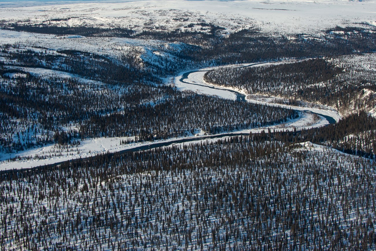 lt= A winter landscape from above of a river and trees and snow