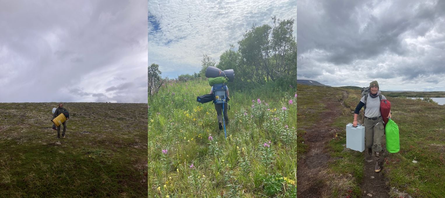 Three pictures of a person carrying lots of gear