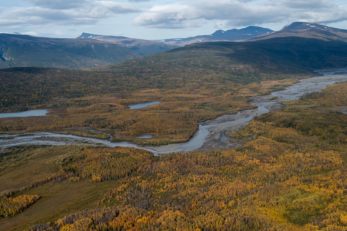 An aerial view of golden colors on the tundra below