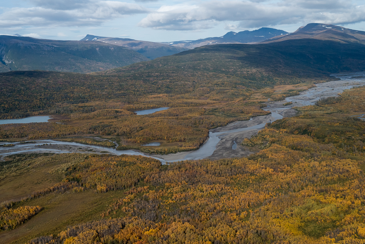 An Autumn Aerial An aerial view of golden colors on the tundra below