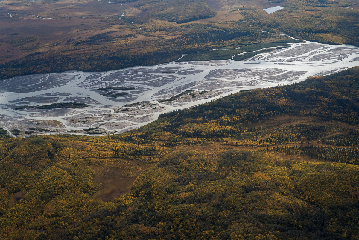 A braided river below with fall colors on tundra