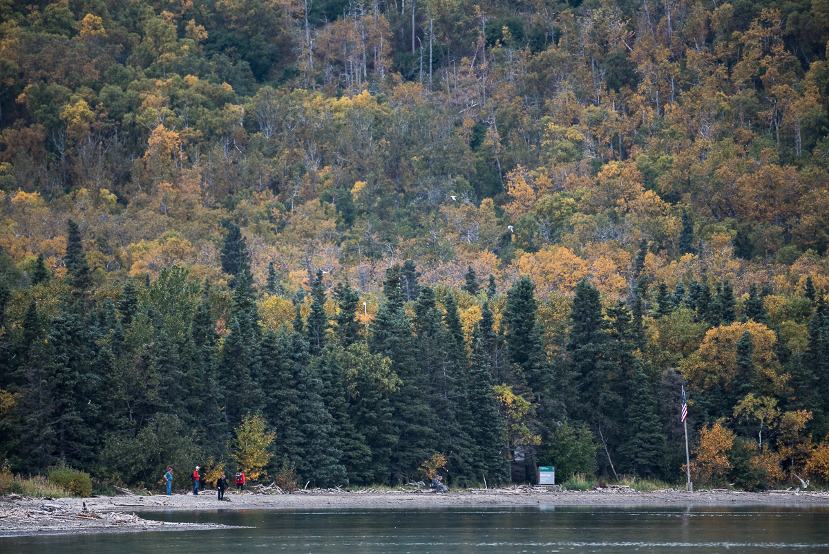 Brooks Camp in Autumn