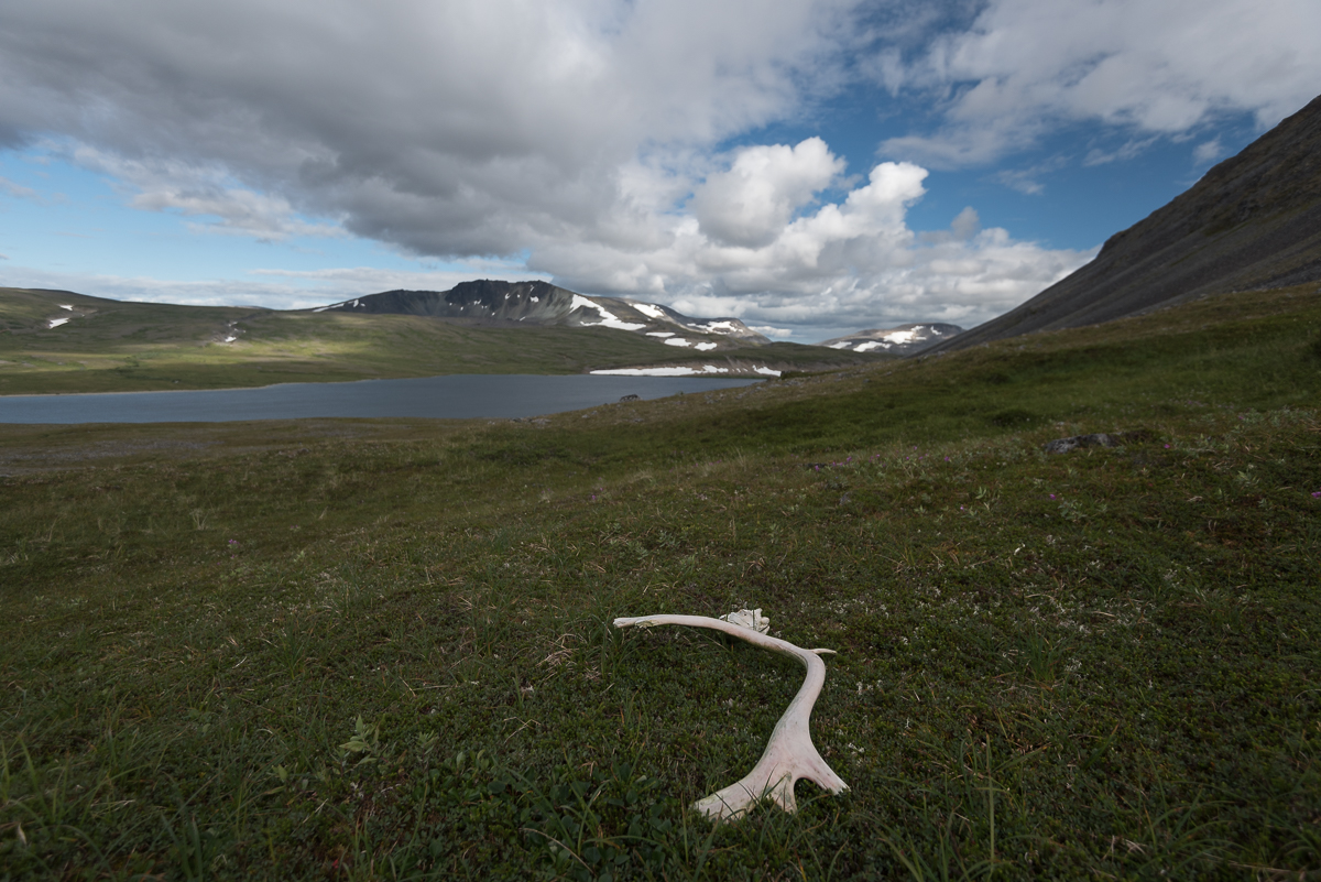 A caribou antler sits on the tundra near Mirror Lake A caribou antler rests on tundra in front of a high alpine lake and mountains