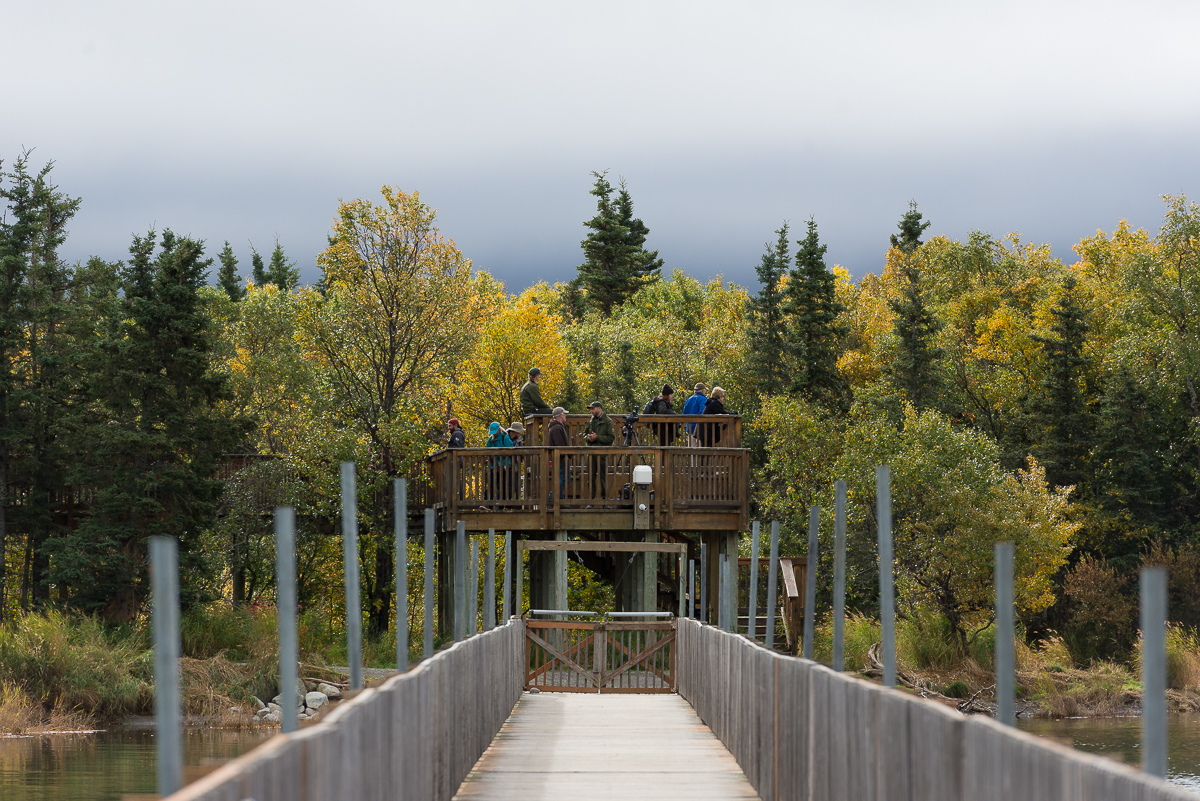 People stand on a viewing platform on the Brooks River