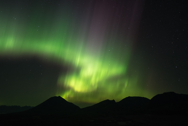 Aurora Lights Green and purple aurora lights over mountain silhouettes