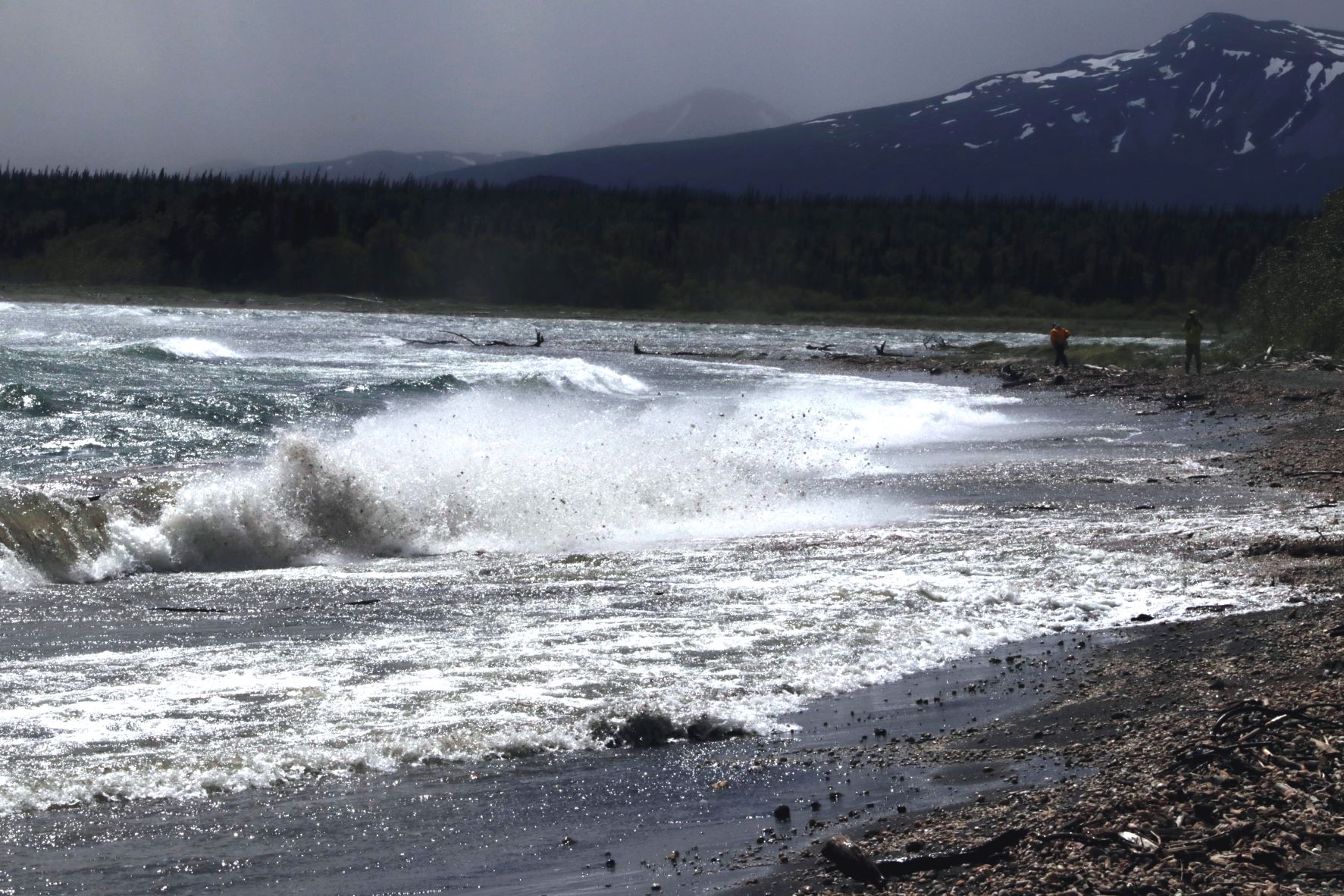 High surf along a beach