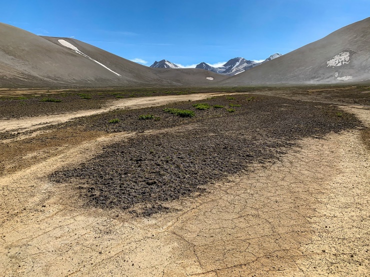 Black soil patch surrounded by other brown earth
