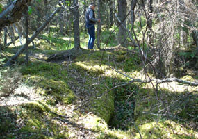 The first permanent houses in the Katmai area date to the Arctic Small Tool tradition.