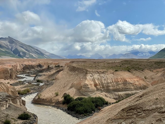 A river running through a canyon with mountains in the distance and clear blue skies overhead.