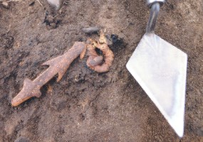 This bone harpoon and seal ear bone are more than 6,000 years old.