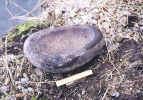 Sea mammal oil and plant fiber wicks were used in prehistoric stone oil lamps.