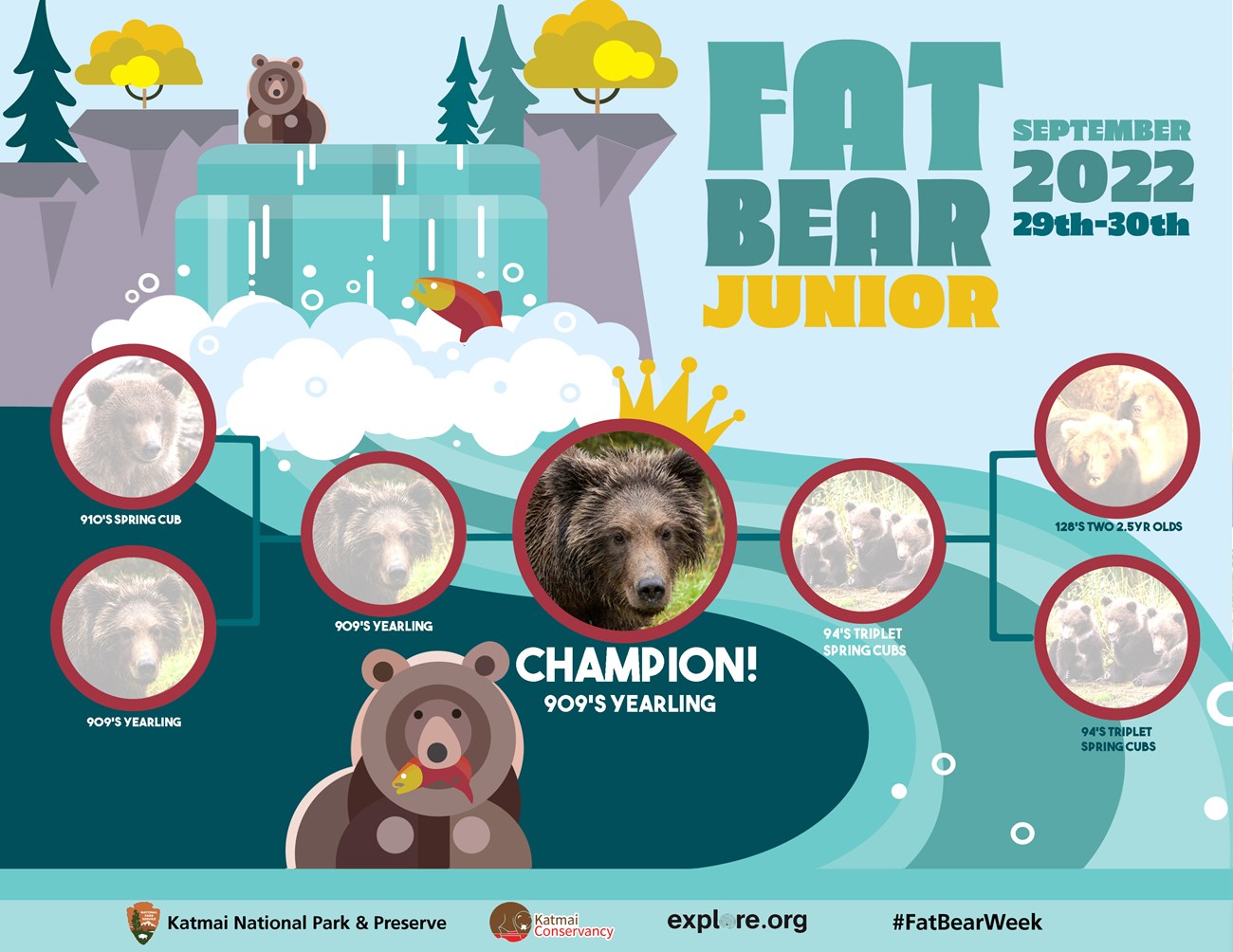 Bracket showing 909 cub as Fat Bear Junior champ after having competed against 910's cub and 94's three spring cubs