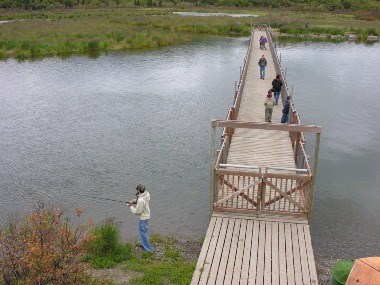 Visitors walk across the Brooks River floating bridge to access Brooks Camp and bear viewing platforms.