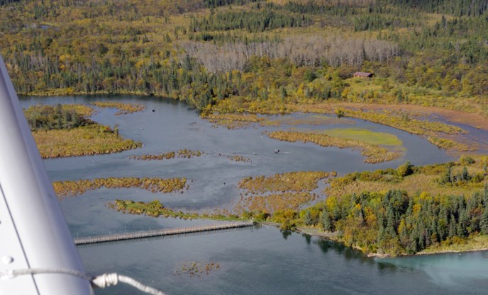 Aerial view of river meander with floating bridge at bottom center