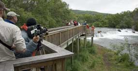 Commercial filming looking toward the Brooks Falls Platform and the river