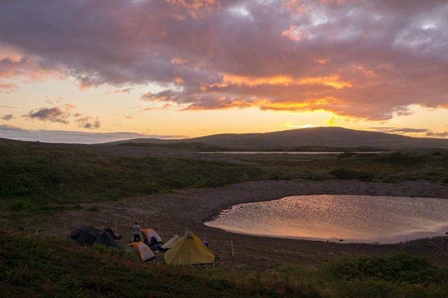 wilderness sunset and campground with tents surrounded by portable electric fence