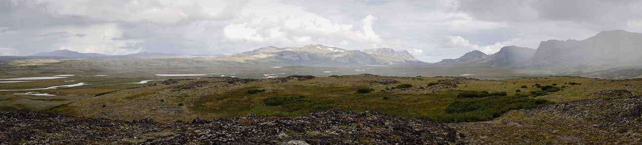a panoramic view of subarctic tundra and majestic mountains