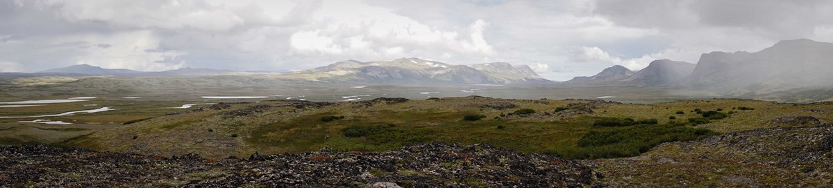 a panoramic view of subarctic tundra and majestic mountains a panoramic view of subarctic tundra and majestic mountains