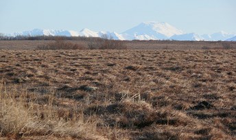 Wet Tundra on the Bristol Bay Lowlands