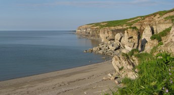 Cape Douglas