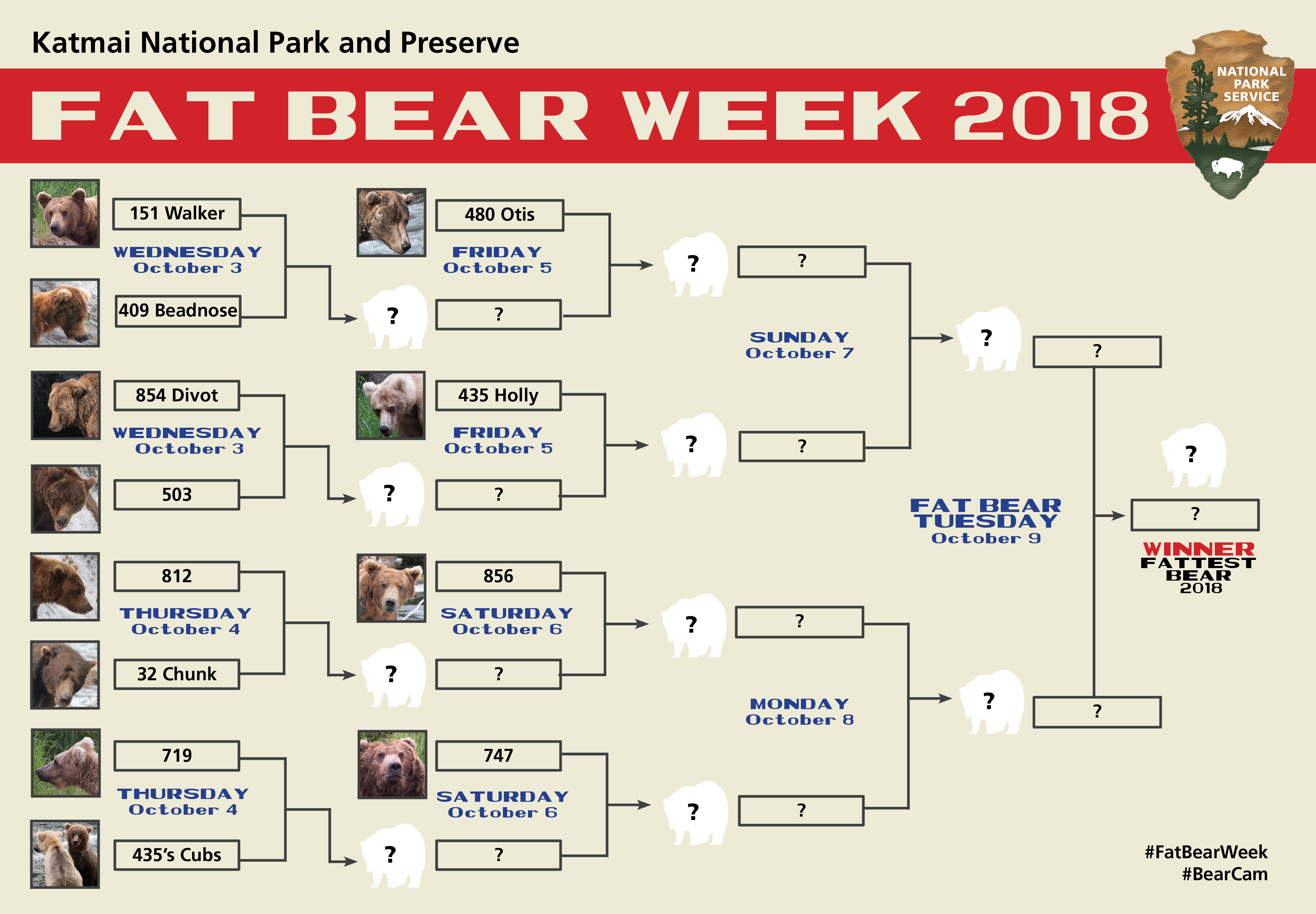 2018 Fat Bear Week Bracket