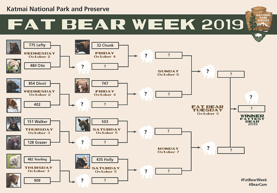 Image is of a chart that shows the competition brackets for bears for the 2019 Katmai Fat Bear event.