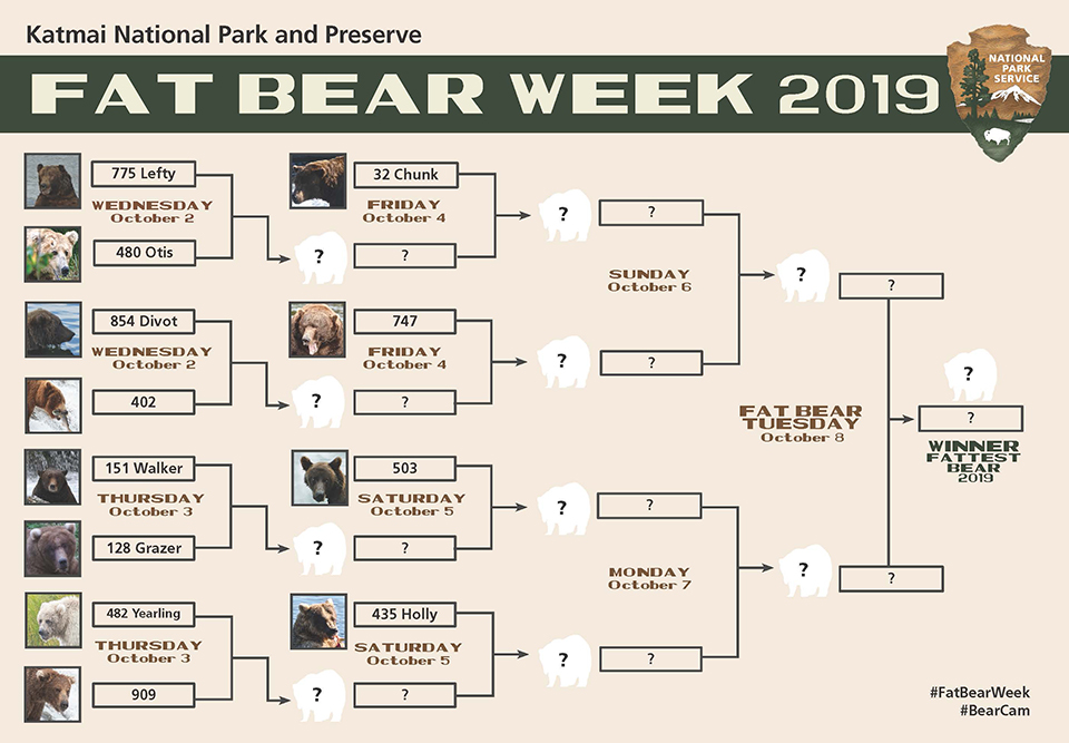 2019 Fat Bear Bracket 6-960px Image is of a chart that shows the competition brackets for bears for the 2019 Katmai Fat Bear event.