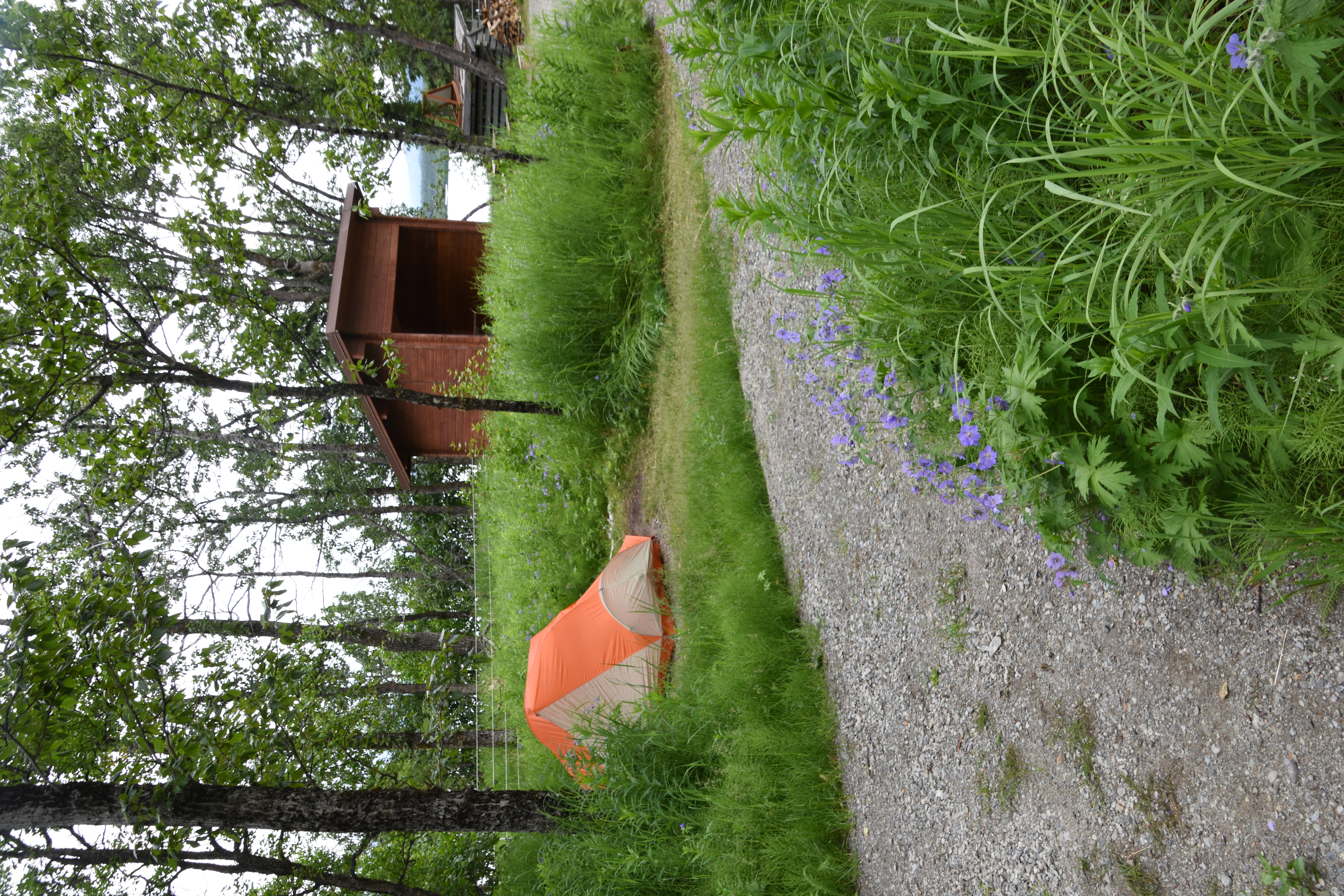 orange and white tent near gravel path with 3 sided wooden structure in background