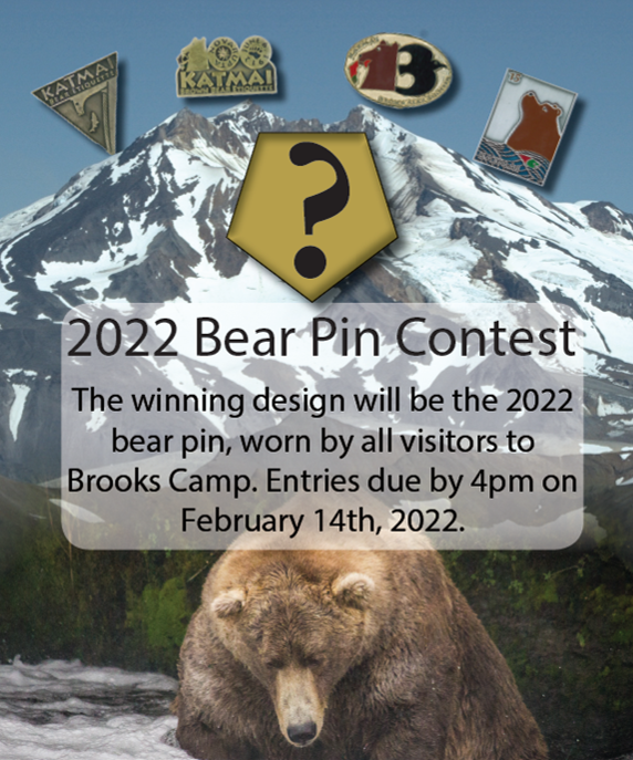 Bear pins above mountain range and large brown bear