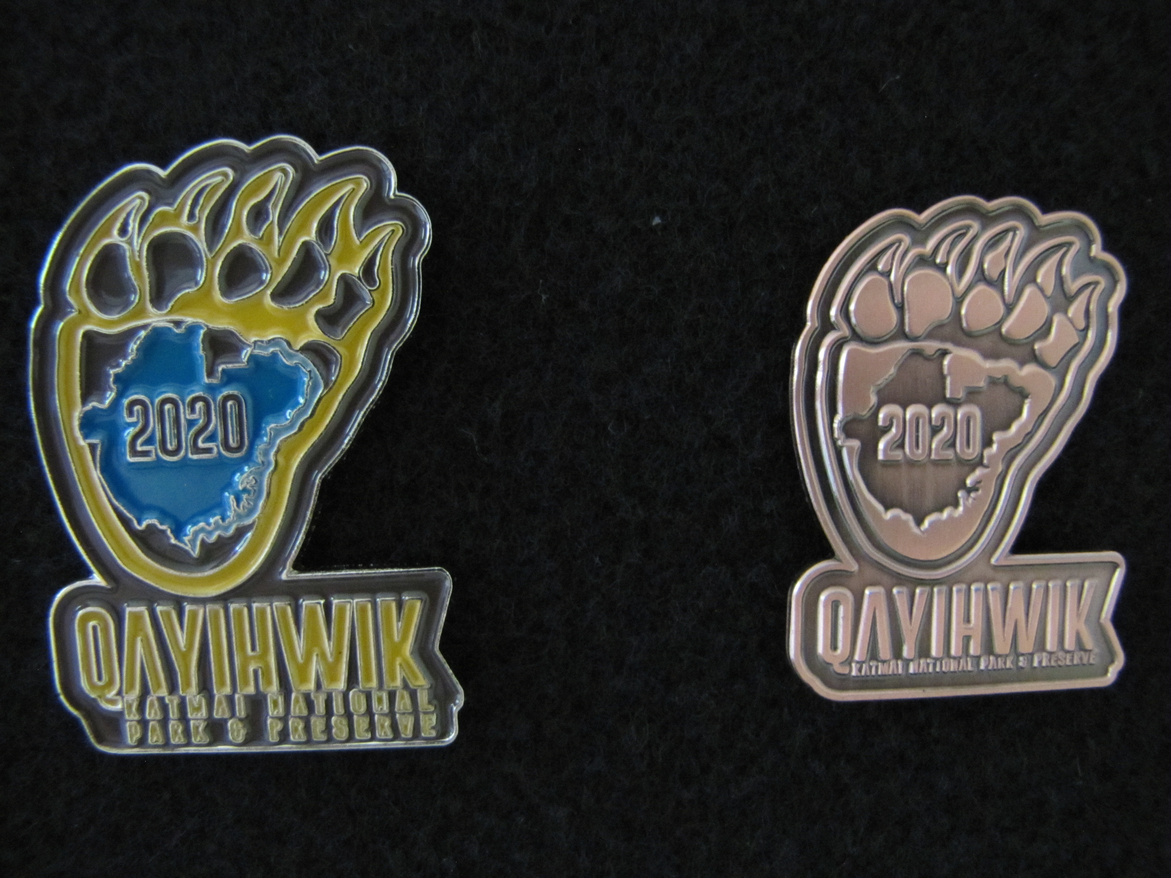 two lapel pins. one metal and one blue and yellow