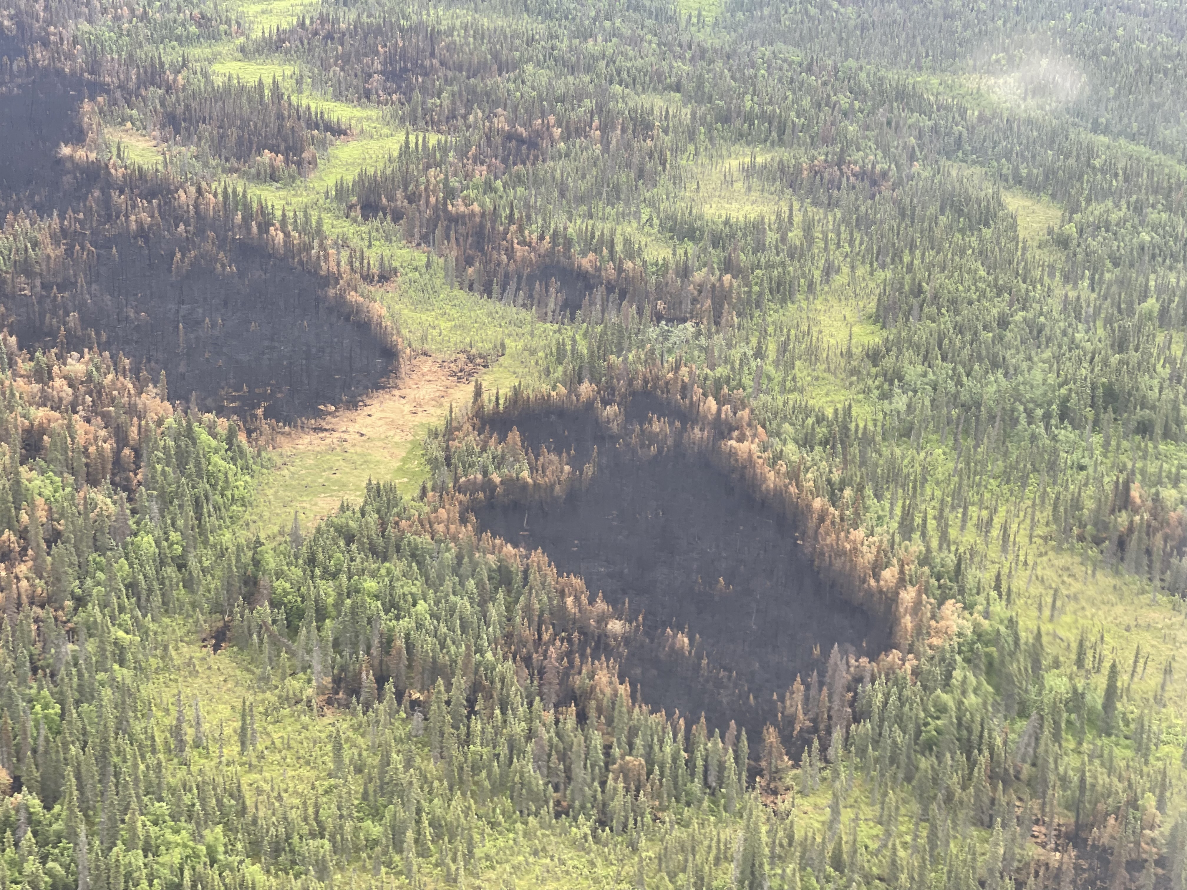American Creek Wildfire