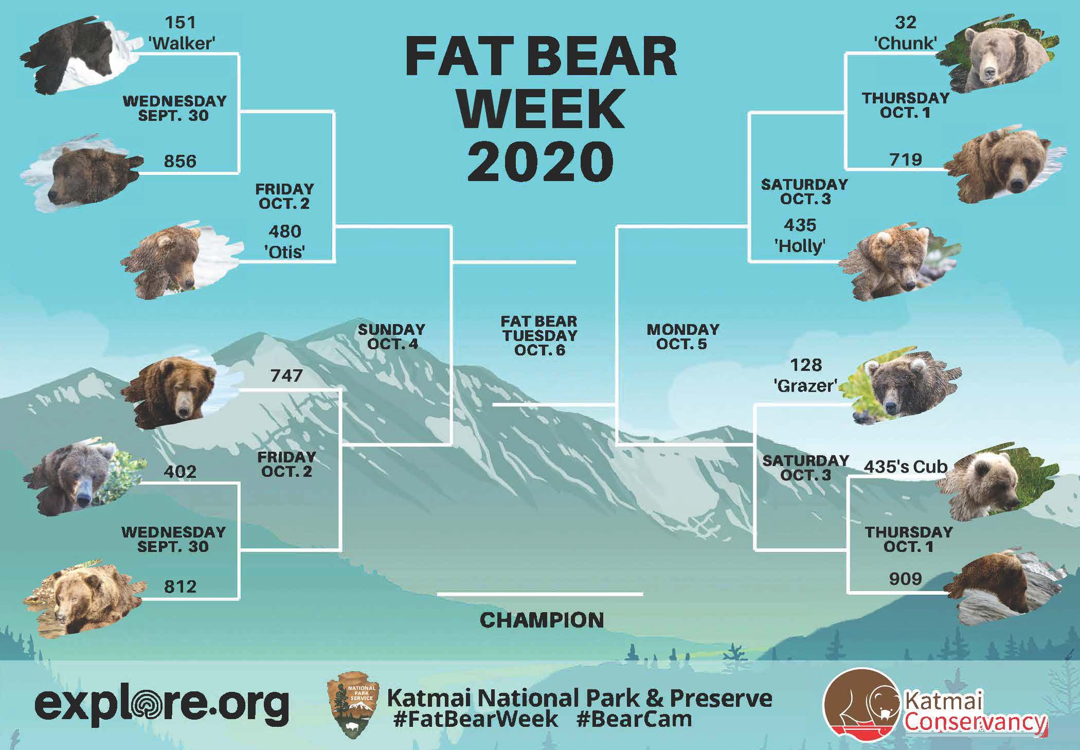 A chart that shows the competition brackets for bears for the 2020 Katmai Fat Bear Week event 