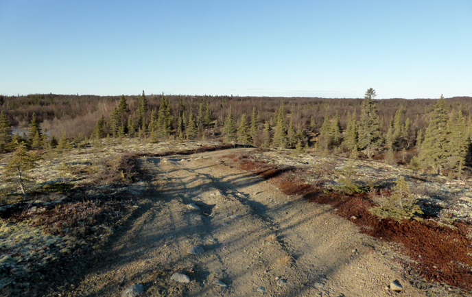 Pike Ridge Trail