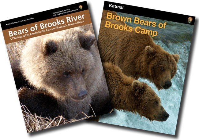 Cover pages of bear ebooks