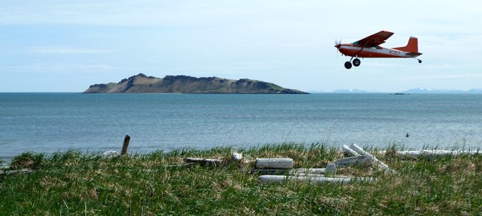 A-plane-takes-off-from-the-beach-in-Hallo-Bay