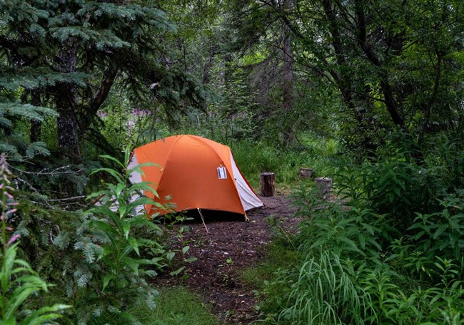 A tent with a gravel path leading to it surrounded by greenery