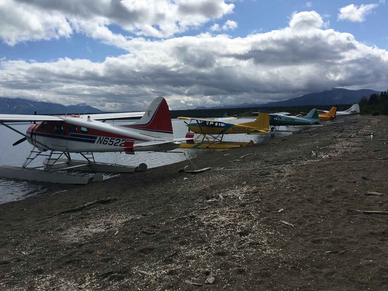 Five colorful float planes parked along a beach.