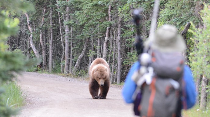 Person-and-approaching-bear-(photo-copyright-Jake Bortscheller)