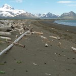 beach-at-south-Hallo-Bay