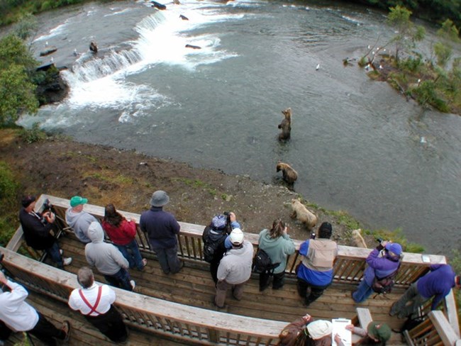people standing on a wood structure over a river full of bears