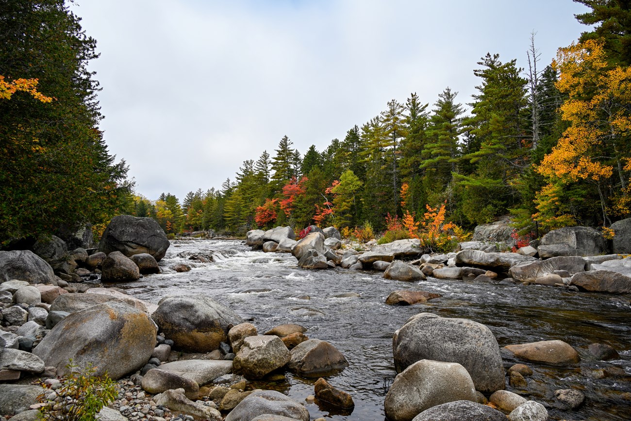 A landscape with a stream flowing through large boulders and rocks. A mixed forest of conifer trees and colorful red, orange, and yellow deciduous trees.