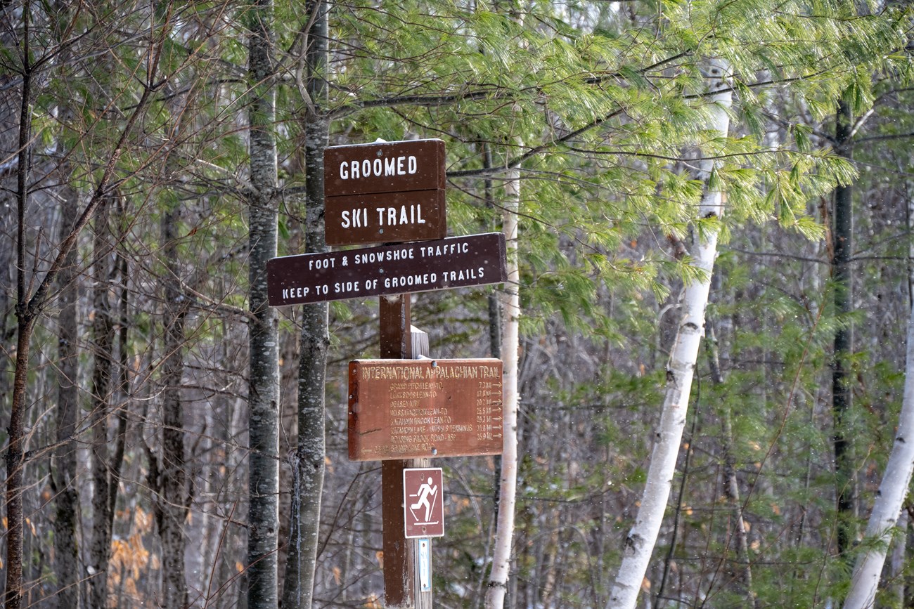 A close up image of a brown wooden sign post on the left side of the picture calls out groomed ski trails and snowshoe use for visitors. Evergreen trees frame the sign on a snowy day.
