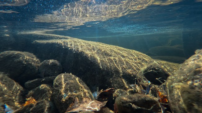 Underwater at Orin Falls with blie water and gray rocks. Sunlight comes in from the surface of the water.