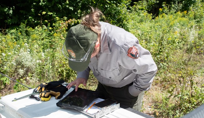 A field scientist works with a tablet while in NPS uniform.