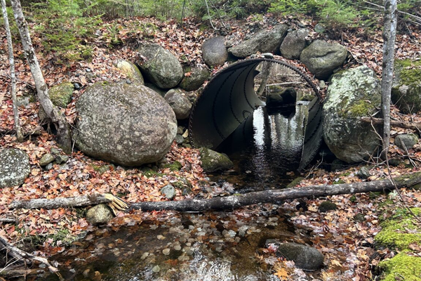 A culvert is shown in a waterway. It creates a narrowed spot on the waterway. The culvert is surrounded by fall leaves and branches, in the water and on land.