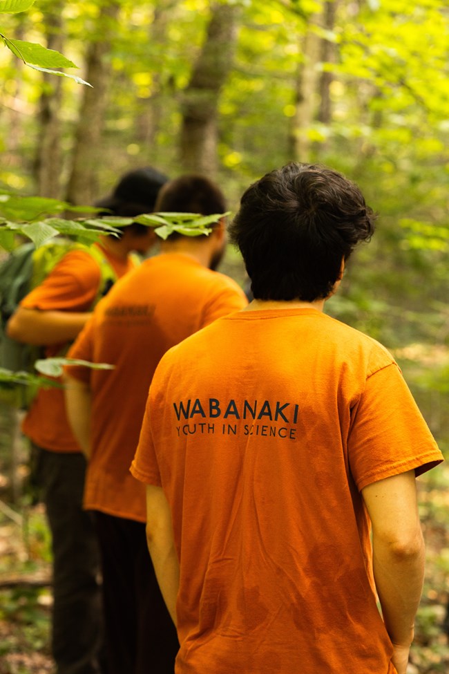 3 people wearinf orange tshirts that says "Wabanaki Youth in Science" on the back standing in a forest