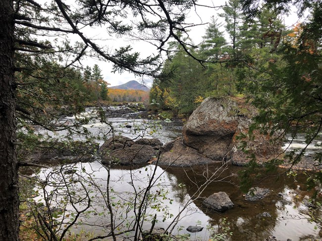 River rapids and trees with a mountain in the distance