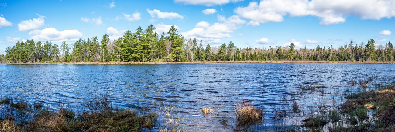 A color panoramic photo of Twin Ponds on a blue sky day. The grassy shore is in the foreground and clear water in the middle ground. A green mixed forest is in the distance behind the pond water and patchy clouds are visible across the blue sky.
