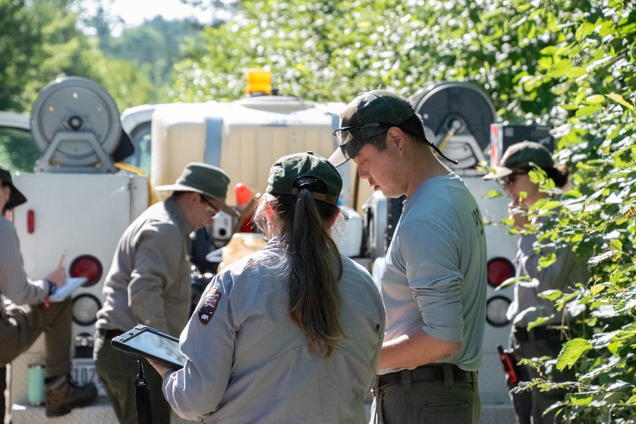 Two researchers review materials while standing on Swiftbrook Road in the monument.